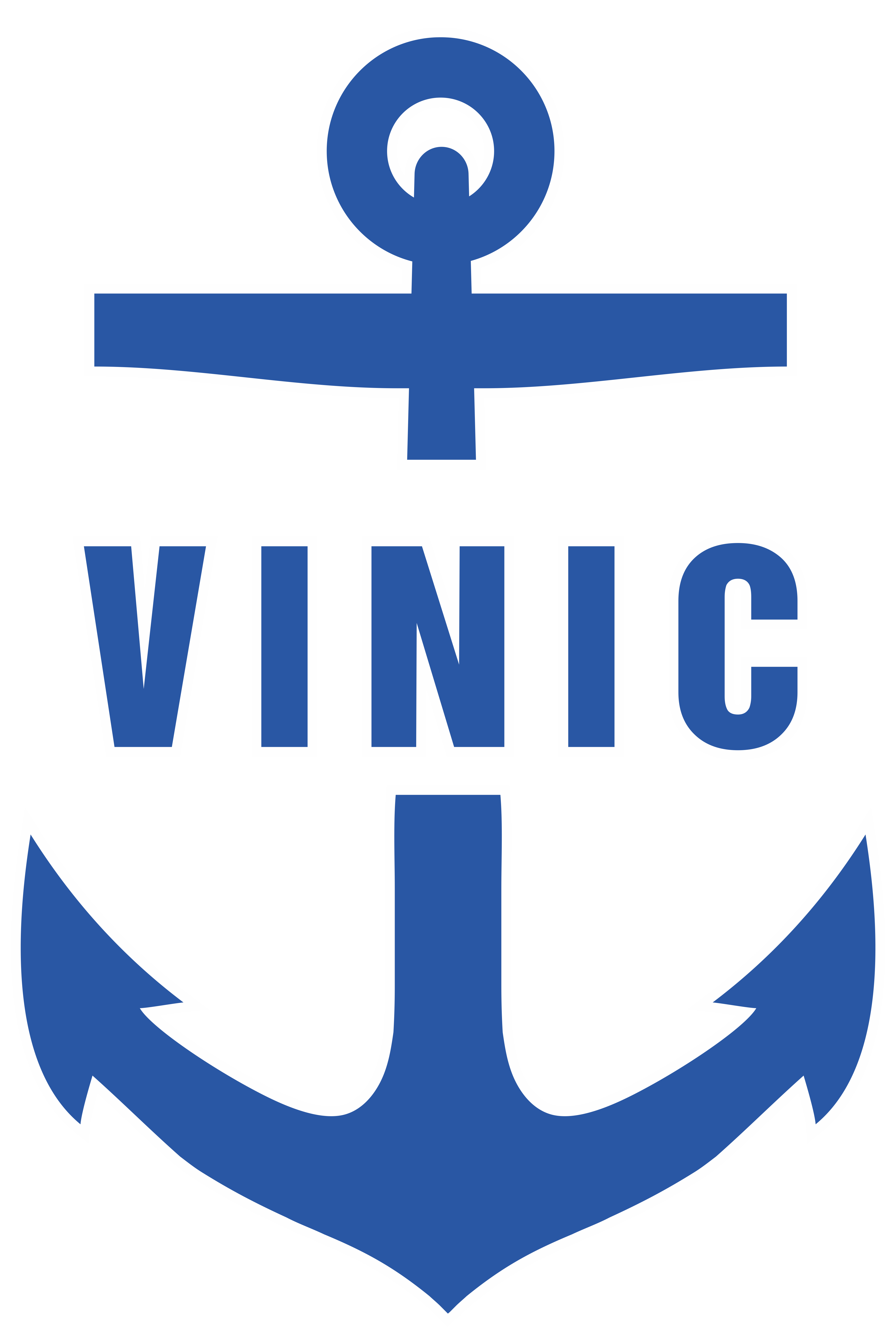 VINIC