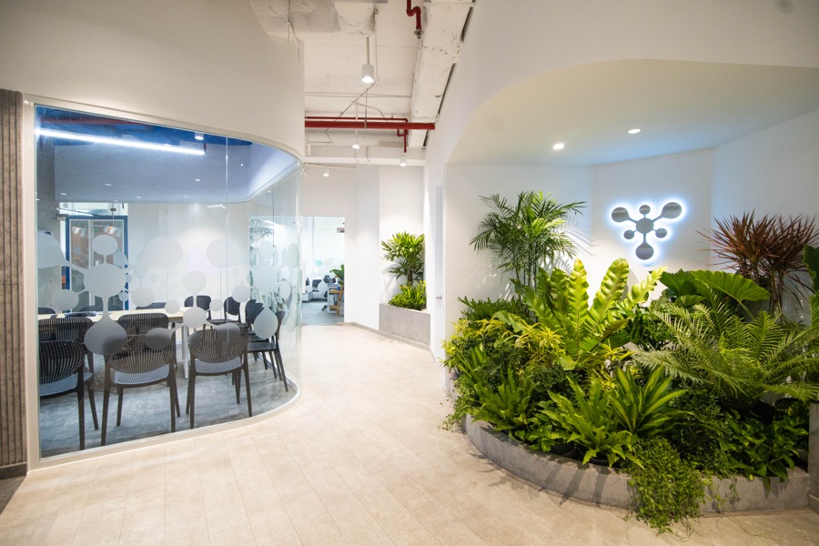 Head Office